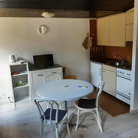 Apartment Minimum 10 Days - Nice Attic Studio Montana-Aminona Crans-Montana
